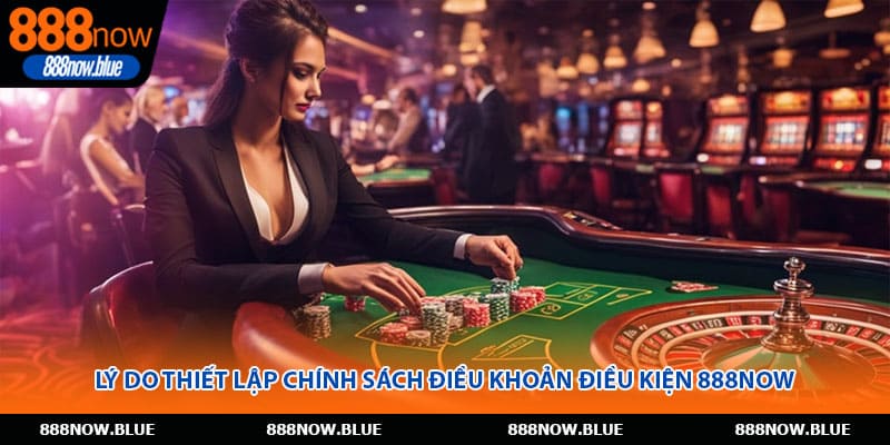 Lý do thiết lập chính sách điều khoản điều kiện 888Now